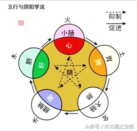 陰陽五行中醫